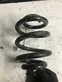 Rear coil spring