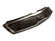 Front bumper upper radiator grill