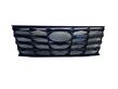 Front bumper upper radiator grill