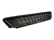 Front bumper lower grill