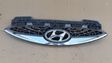 Front bumper upper radiator grill