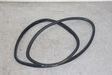 Rear door rubber seal (on body)