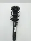 Front shock absorber/damper