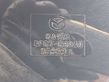 Priekinis žibintas   DFR751040,KA174,M5553L