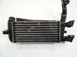 Intercooler radiator