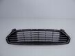 Front bumper upper radiator grill