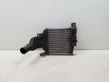 Intercooler radiator