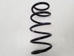 Front coil spring