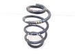 Front coil spring