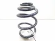 Rear coil spring