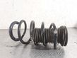 Front coil spring