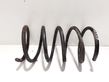 Front coil spring