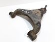 Front lower control arm/wishbone