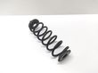 Rear coil spring