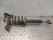 Front shock absorber with coil spring