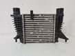 Intercooler radiator