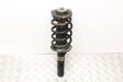 Front shock absorber/damper