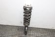 Rear shock absorber/damper