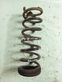 Rear coil spring