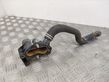 Engine coolant pipe/hose