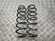 Rear coil spring