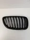 Front bumper upper radiator grill