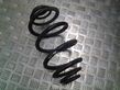 Rear coil spring