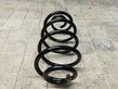 Rear coil spring