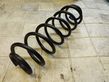 Rear coil spring