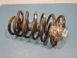 Rear coil spring