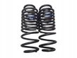 Rear coil spring