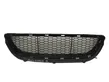 Front bumper lower grill