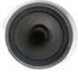 Rear door speaker