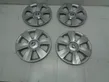 R15 wheel hub/cap/trim