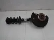 Front shock absorber with coil spring