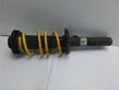 Front shock absorber/damper