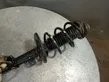 Front shock absorber/damper