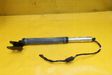 Jambe de force de hayon   GX6370354AD