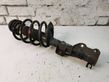 Front shock absorber with coil spring