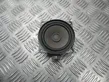 Front door high frequency speaker