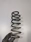 Rear coil spring