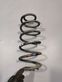 Rear coil spring