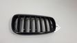 Front bumper upper radiator grill