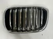 Front bumper upper radiator grill