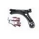 Front lower control arm/wishbone