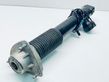 Rear shock absorber/damper