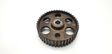 Fuel pump gear (pulley)