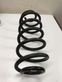 Rear coil spring