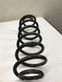 Rear coil spring