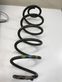 Rear coil spring